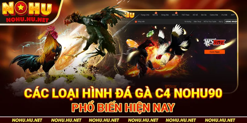 Trực Tiếp Đá Gà C4 – Mãn Nhãn Với Cuộc Tranh Tài Của Thần Kê 4 Các Loại Hình Đá Gà C4 Nohu90 Phổ Biến Hiện Nay