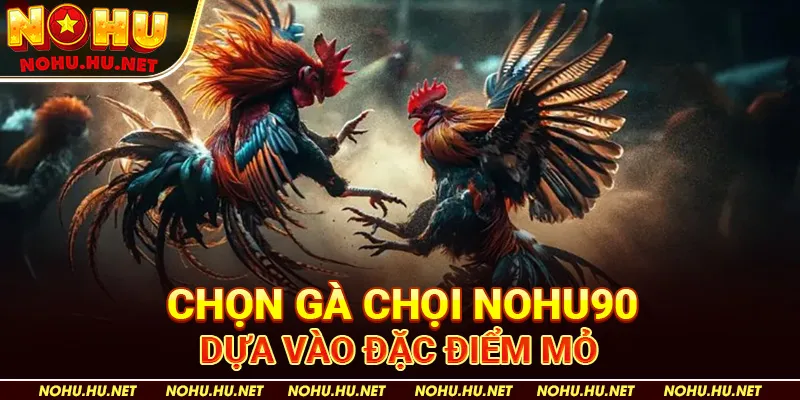 Phương Pháp Chọn Gà Chọi Chiến Để Nhận Phần Thưởng Cao 3 Chọn Gà Chọi Nohu90 Dựa Vào Đặc Điểm Mỏ