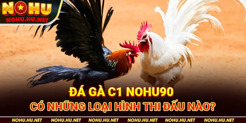 Đá Gà C1 – Toàn Bộ Thông Tin Hấp Dẫn Tại Nhà Cái Nohu90 3 Đá Gà C1 Nohu90 Có Những Loại Hình Thi Đấu Nào?