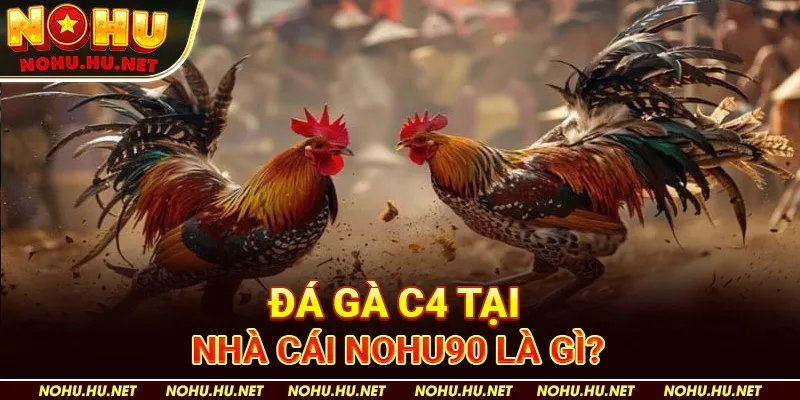 Trực Tiếp Đá Gà C4 – Mãn Nhãn Với Cuộc Tranh Tài Của Thần Kê 2 Đá Gà C4 tại nhà cái Nohu90 là gì?