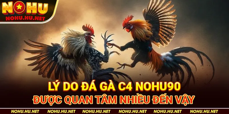 Trực Tiếp Đá Gà C4 – Mãn Nhãn Với Cuộc Tranh Tài Của Thần Kê 3 Lý Do Đá Gà C4 Nohu90 Được Quan Tâm Nhiều Đến Vậy