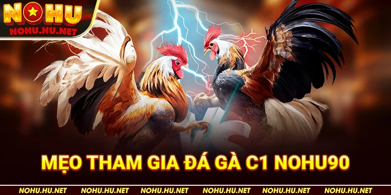 Đá Gà C1 – Toàn Bộ Thông Tin Hấp Dẫn Tại Nhà Cái Nohu90 4 Mẹo Tham Gia Đá Gà C1 Nohu90