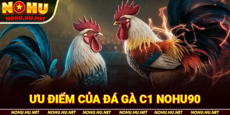 Đá Gà C1 – Toàn Bộ Thông Tin Hấp Dẫn Tại Nhà Cái Nohu90 2 Ưu Điểm Của Đá Gà C1 Nohu90